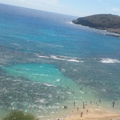 2014 Honolulu Hanauma bay