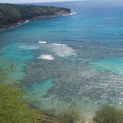 2014 Honolulu Hanauma bay