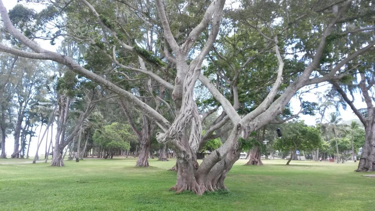 Kailua park